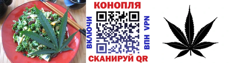 Cannafood конопля  сколько стоит  Бакал 
