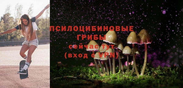 дурь Барнаул