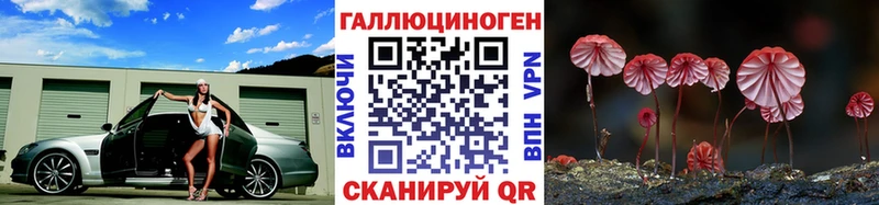 Псилоцибиновые грибы мухоморы  Бакал 